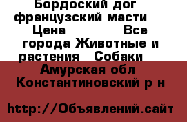 Бордоский дог ( французский масти)  › Цена ­ 50 000 - Все города Животные и растения » Собаки   . Амурская обл.,Константиновский р-н